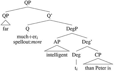 African American English intensifier dennamug: Using twitter to investigate syntactic change in low-frequency forms